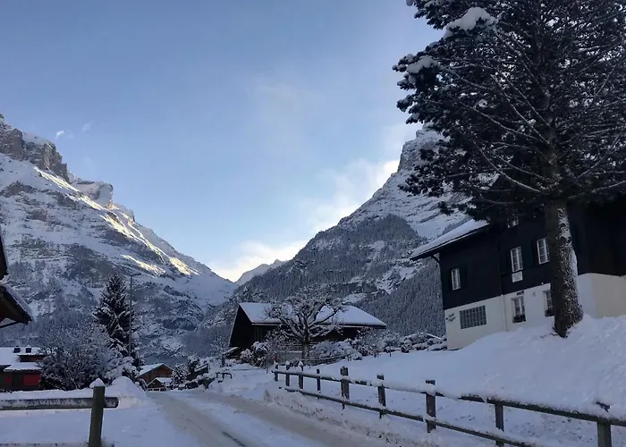 Apartment Chalet Anna By Interhome Apartment Grindelwald