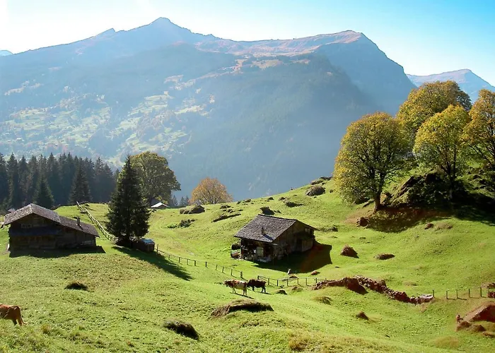 Apartment Apartment Chalet Anna By Interhome *