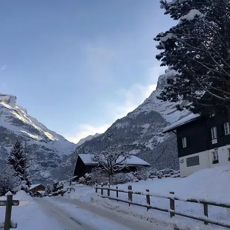 Apartment Chalet Anna By Interhome Apartment Grindelwald