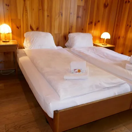 Apartment Chalet Anna By Interhome *