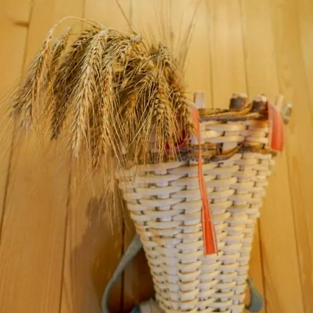 Apartment Apartment Chalet Anna By Interhome